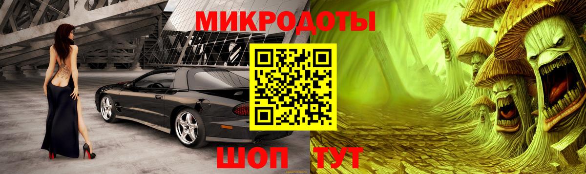 Кольчугино  Галлюциногенные грибы Cubensis  Вход с VPN 